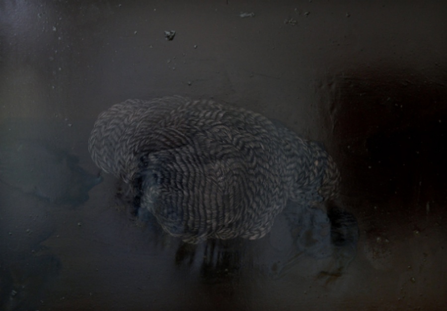 news_verortetes_verlangen_900